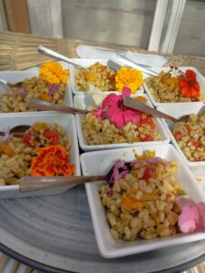 PAKAT Traiteur - Bastide du Roy